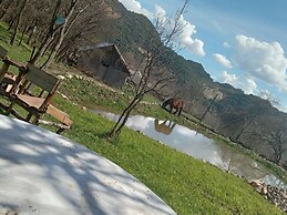 Room in Guest Room - Cozy Rural Retreat in Roşia Montana