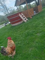 Room in Guest Room - Cozy Rural Retreat in Roşia Montana
