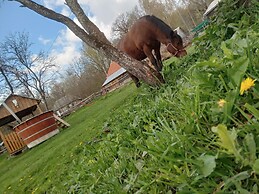 Room in Guest Room - Cozy Rural Retreat in Roşia Montana