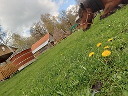 Room in Guest Room - Cozy Rural Retreat in Roşia Montana