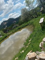 Room in Guest Room - Cozy Rural Retreat in Roşia Montana