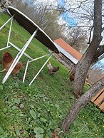 Room in Guest Room - Cozy Rural Retreat in Roşia Montana