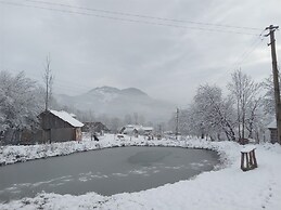 Room in Guest Room - Cozy Rural Retreat in Roşia Montana