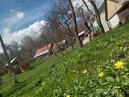Room in Guest Room - Cozy Rural Retreat in Roşia Montana