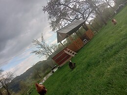Room in Guest Room - Cozy Rural Retreat in Roşia Montana