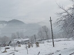Room in Guest Room - Cozy Rural Retreat in Roşia Montana