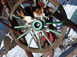 Room in Guest Room - Cozy Rural Retreat in Roşia Montana