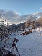 Room in Guest Room - Cozy Rural Retreat in Roşia Montana