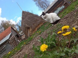 Room in Guest Room - Cozy Rural Retreat in Roşia Montana