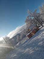 Room in Guest Room - Cozy Rural Retreat in Roşia Montana