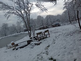 Room in Guest Room - Cozy Rural Retreat in Roşia Montana