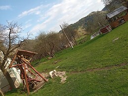 Room in Guest Room - Cozy Rural Retreat in Roşia Montana