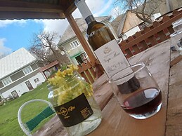 Room in Guest Room - Cozy Rural Retreat in Roşia Montana