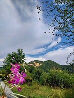 Rustic Wild Retreat IN Romania