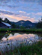 Rustic Wild Retreat IN Romania
