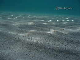 Modern Apartment Arena Near the Beach Jaz