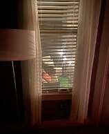 2 Two King Bed Buckhead Condo