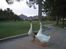 Stunning Golf And Water Views With Large Patio! Biltmore Terrace! 1 Be