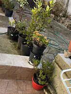 Cosy and Familiar Maisonette in Agious Deka, Corfu