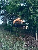 Muskoka Lake Cottages