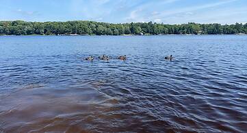 Muskoka Lake Cottages