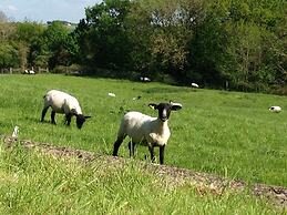 Courtyard Cottage - Adults Only