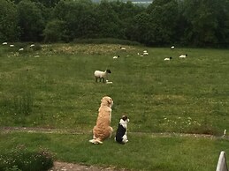 Courtyard Cottage - Adults Only