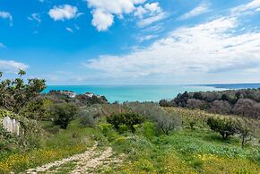 La Conchiglia dei Sogni