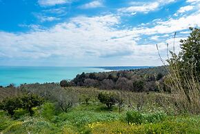 La Conchiglia dei Sogni
