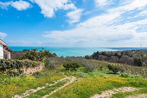 La Conchiglia dei Sogni