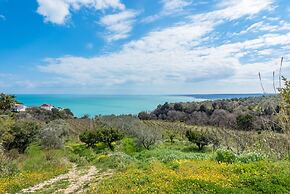 La Conchiglia dei Sogni