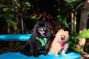 Hotel Boutique D Angelo