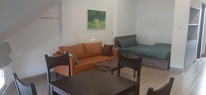 OYO 1161 Puchin Hotel And Apartment