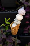 The Mora Zanzibar - Luxury All Inclusive