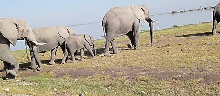 Amanya Moon Star Bed Amboseli National Park