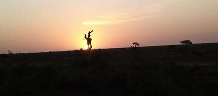 Amanya Moon Star Bed Amboseli National Park