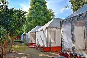 Ranthambore Tiger Resort by Park Tree