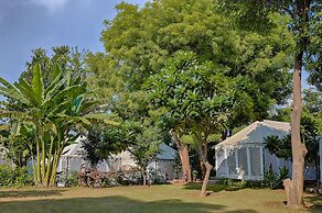 Ranthambore Tiger Resort by Park Tree