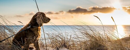 168 Beach Club Villa