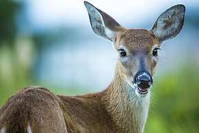 189 Beach Club Villa