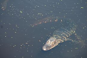 326 Ocean Point Drive