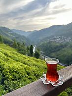 Puleri Suit Bungalow