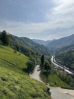 Puleri Suit Bungalow