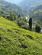 Puleri Suit Bungalow