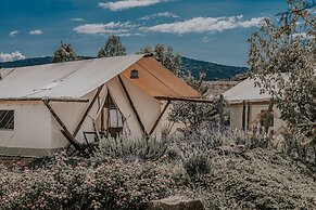 Salterra Glamping