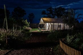 Salterra Glamping