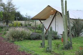 Salterra Glamping