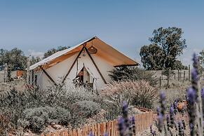 Salterra Glamping