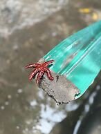 Ayre Gostoso Pousada