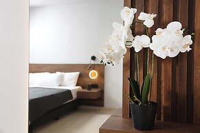 Danae Comfort Living